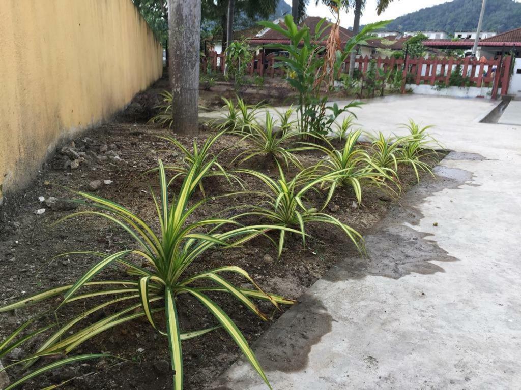 The Garden Vacation Home Lumut Luaran gambar